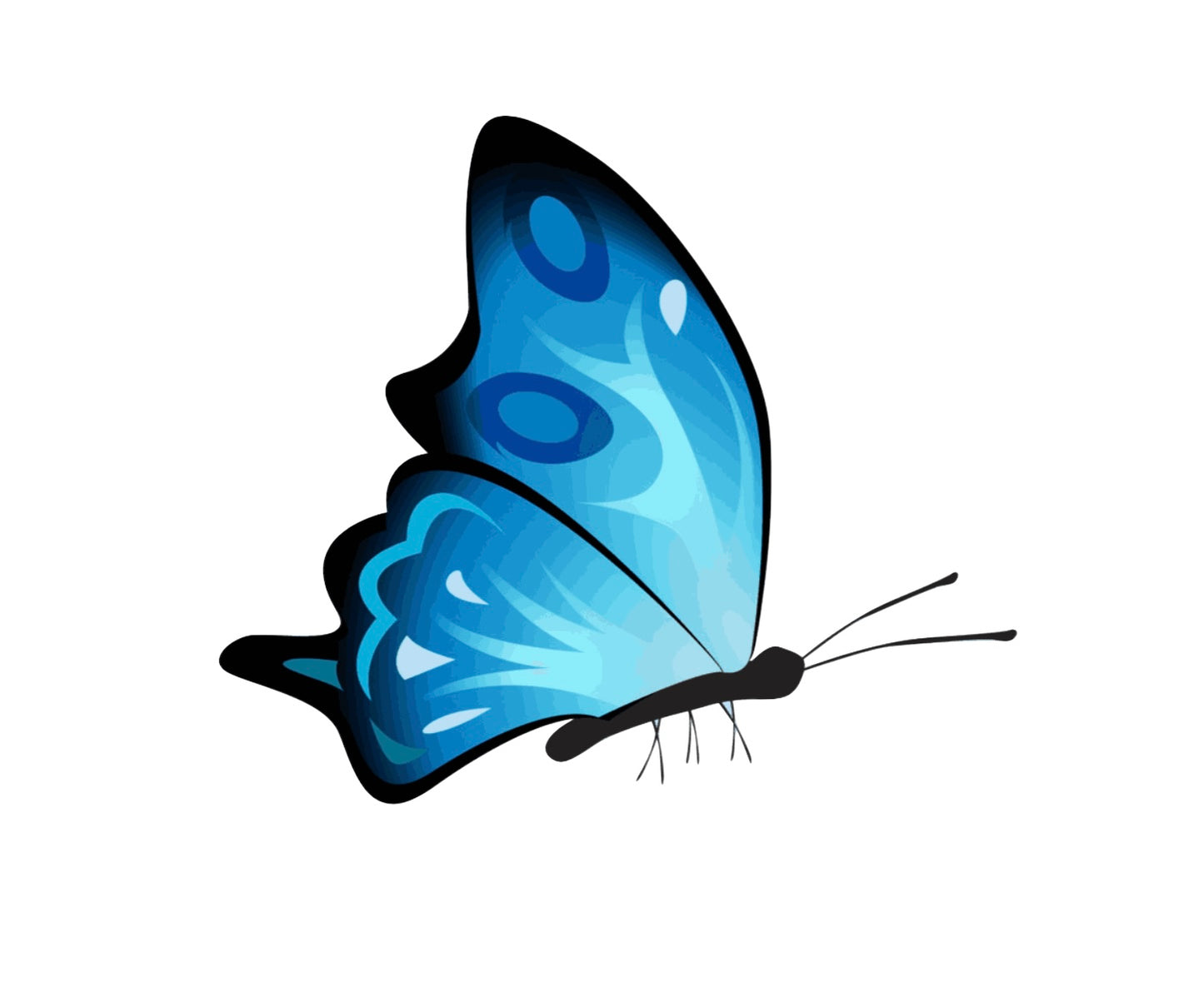 Blue Butterfly